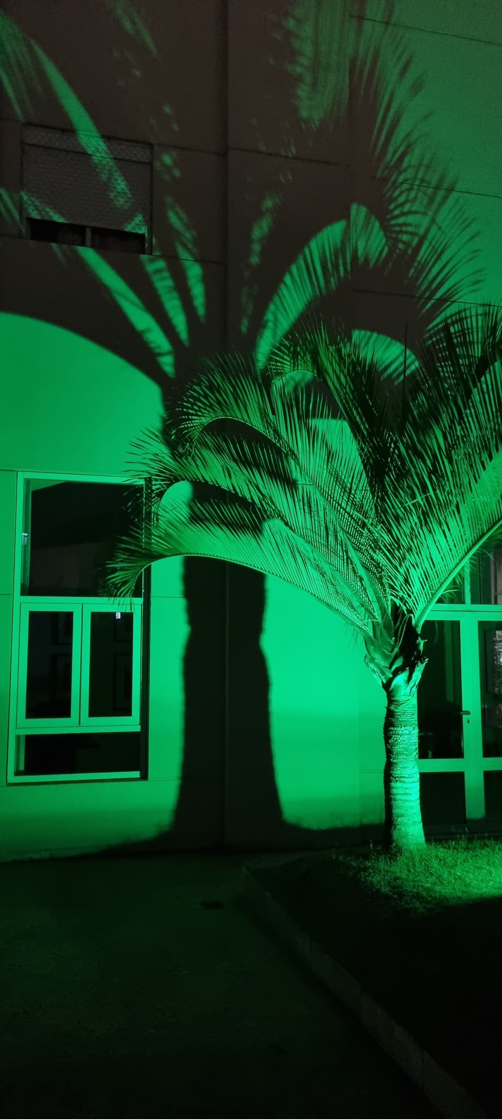 A realidade ou a&nbsp;sombra?