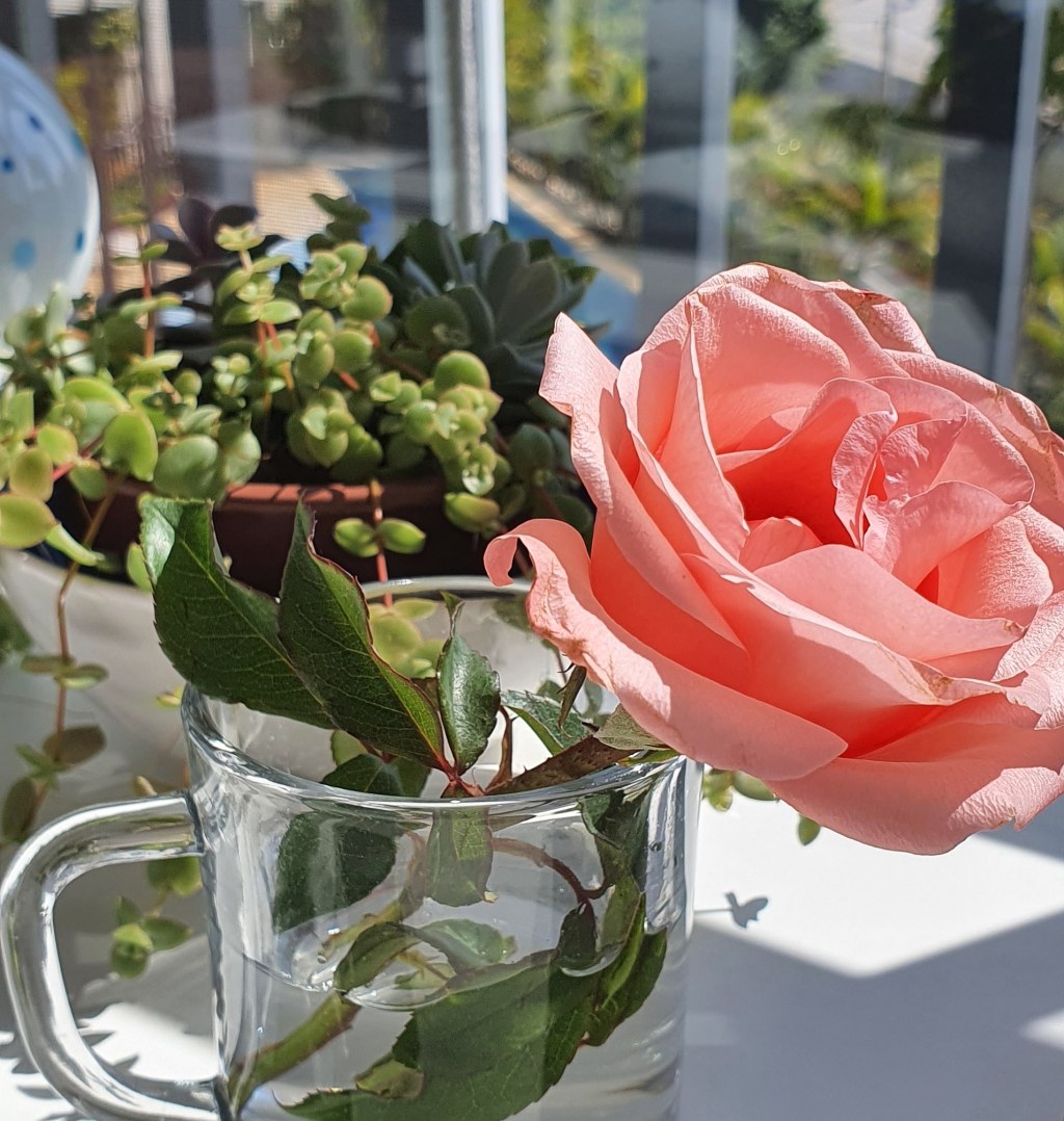 Uma pequena história de&nbsp;Amor